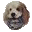 Joxer