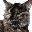 Sheagra