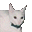 Tasha